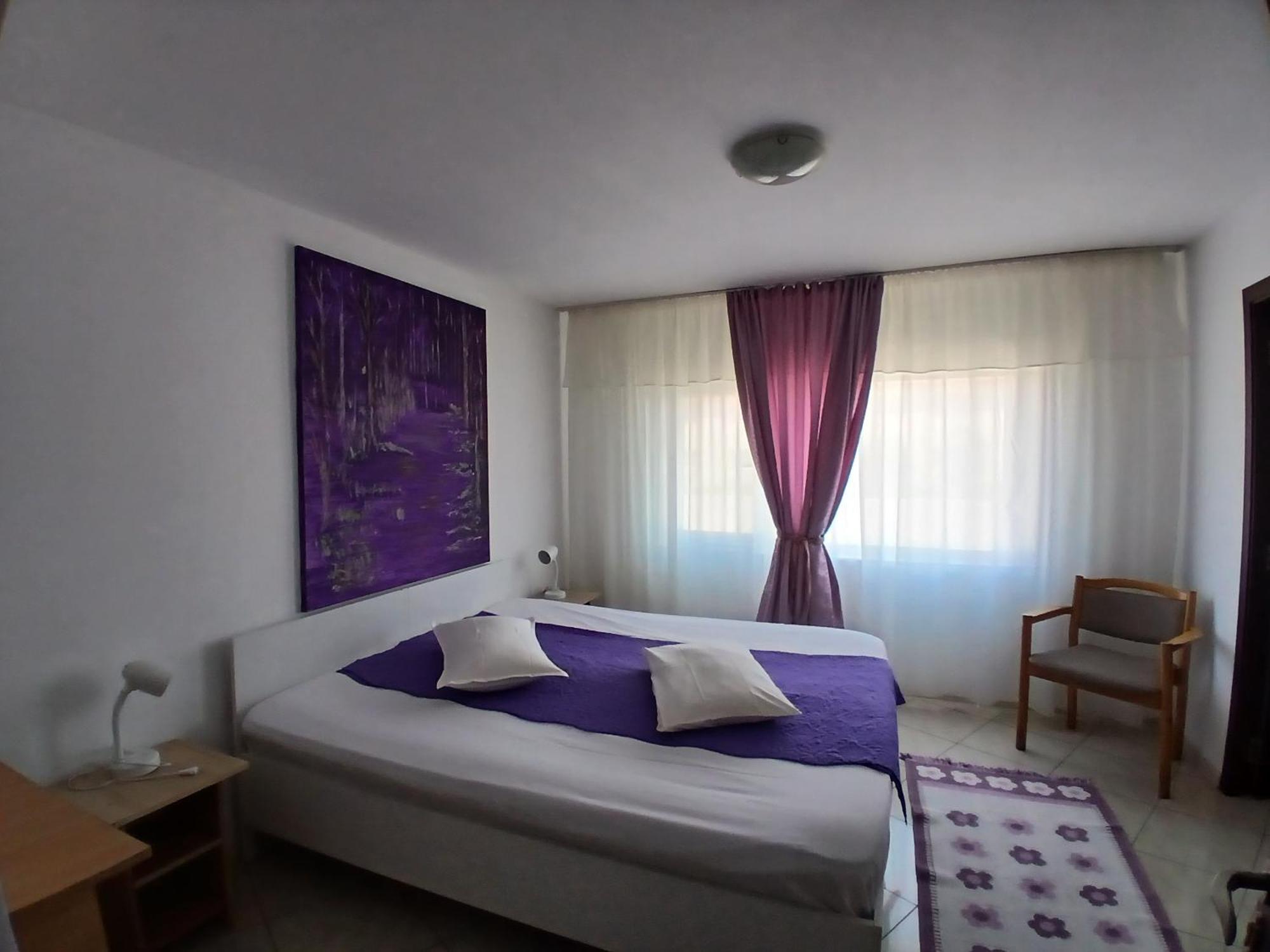 Casa Rustica Apart & Rooms Cîmpineanca 外观 照片