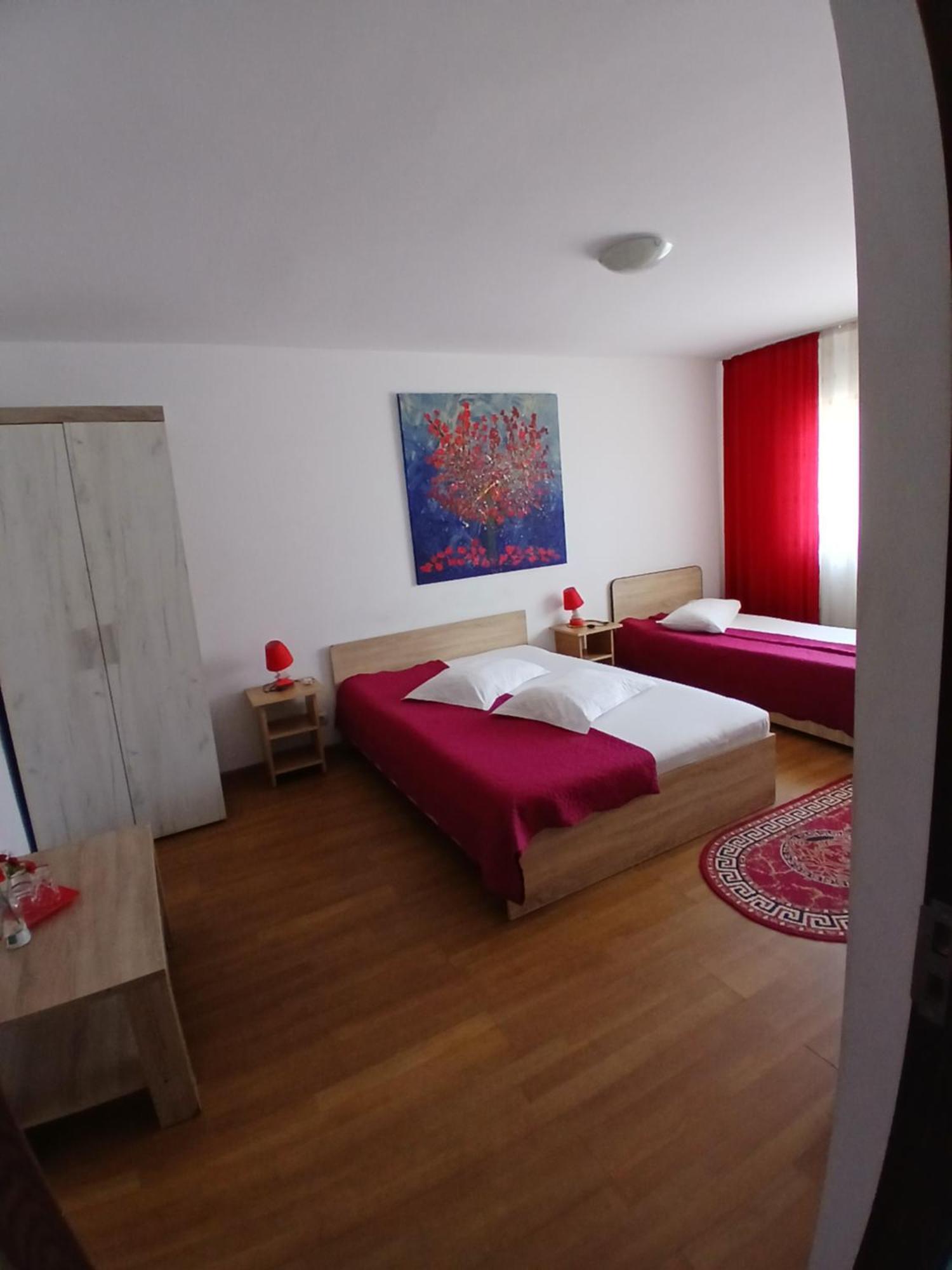 Casa Rustica Apart & Rooms Cîmpineanca 外观 照片
