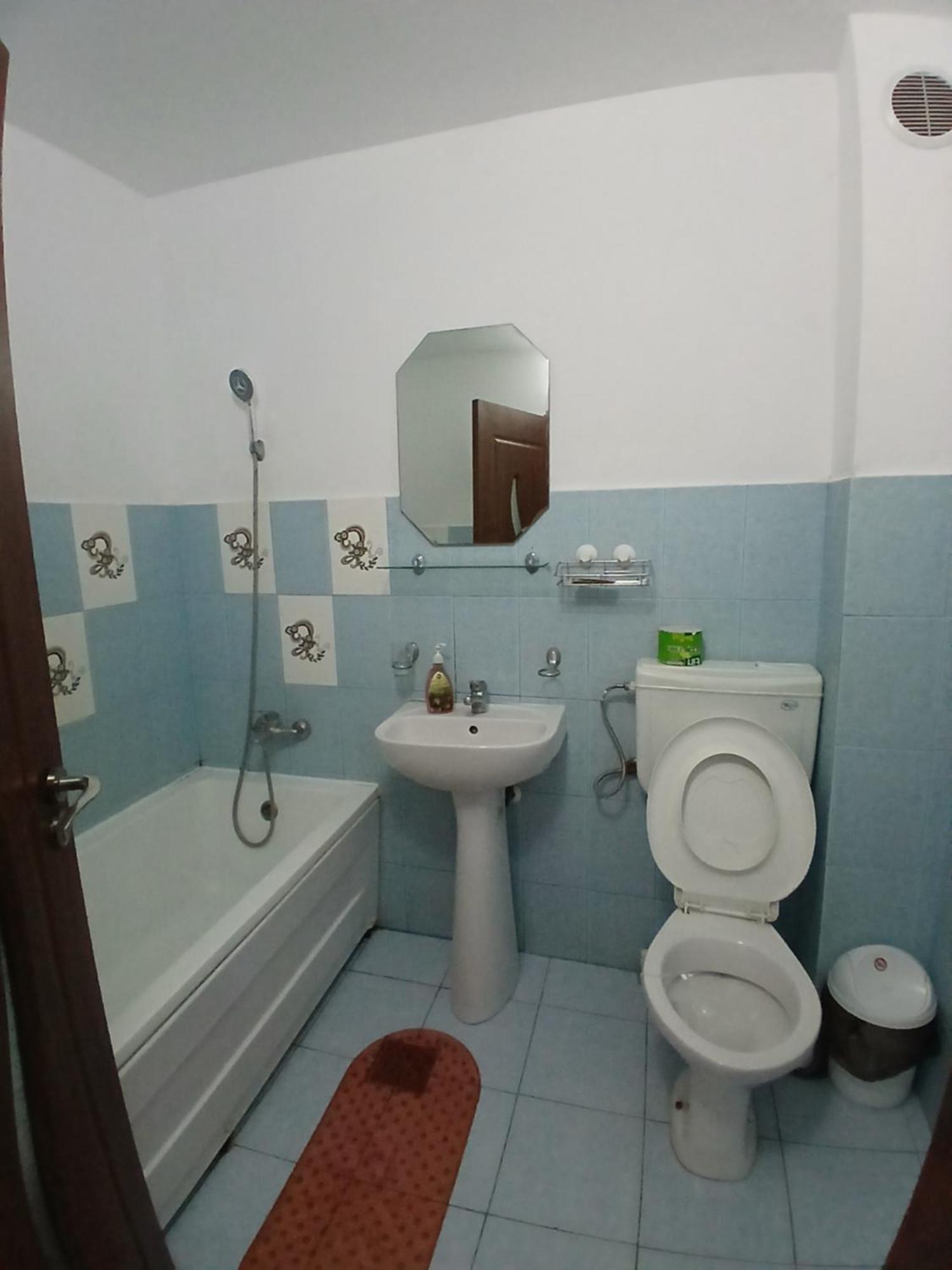 Casa Rustica Apart & Rooms Cîmpineanca 外观 照片