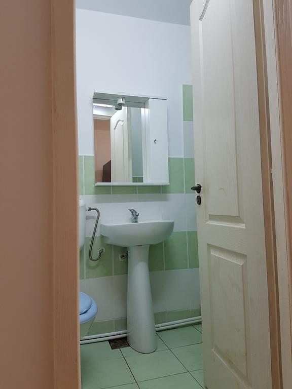 Casa Rustica Apart & Rooms Cîmpineanca 外观 照片