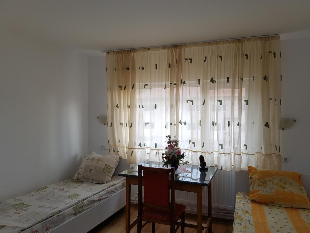 Casa Rustica Apart & Rooms Cîmpineanca 外观 照片