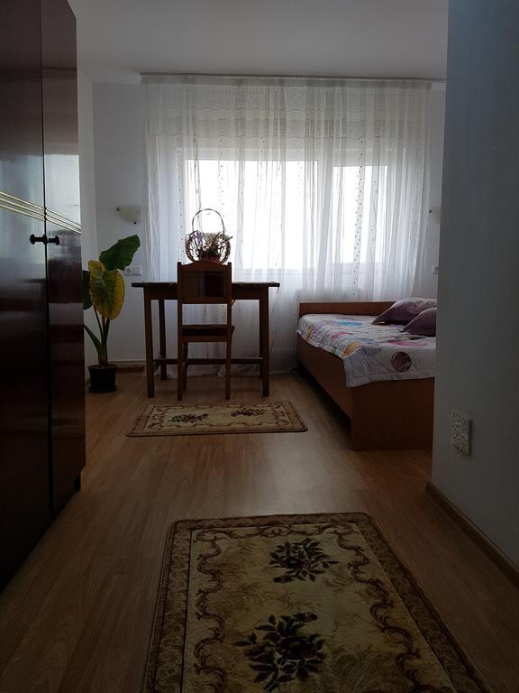 Casa Rustica Apart & Rooms Cîmpineanca 外观 照片