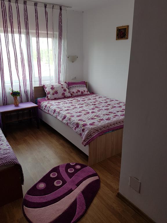 Casa Rustica Apart & Rooms Cîmpineanca 外观 照片