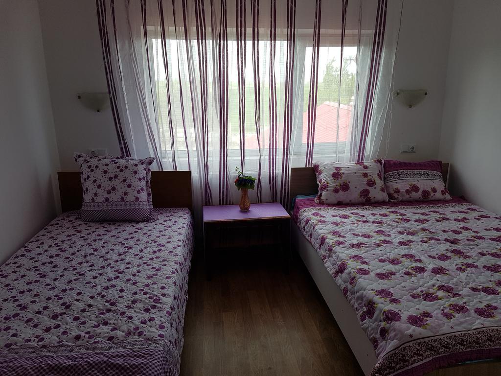Casa Rustica Apart & Rooms Cîmpineanca 外观 照片