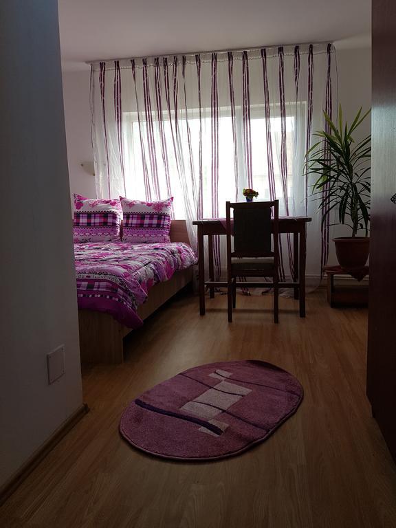 Casa Rustica Apart & Rooms Cîmpineanca 外观 照片