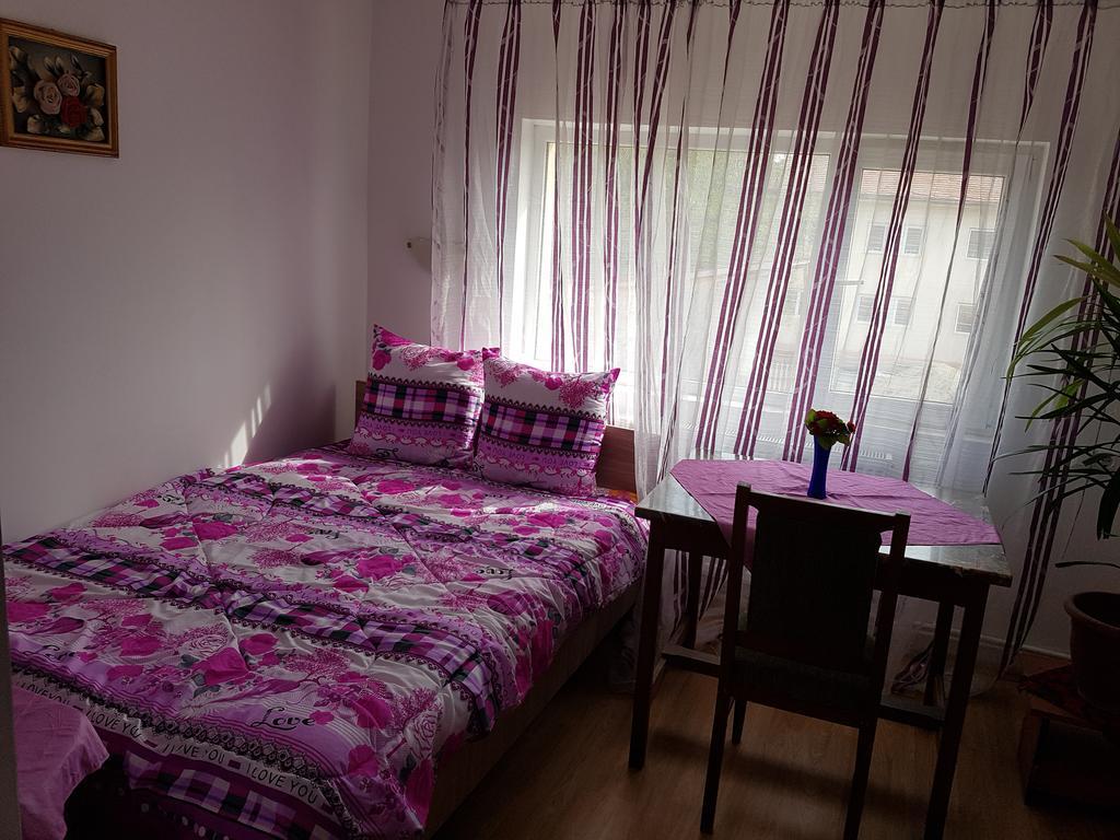 Casa Rustica Apart & Rooms Cîmpineanca 外观 照片