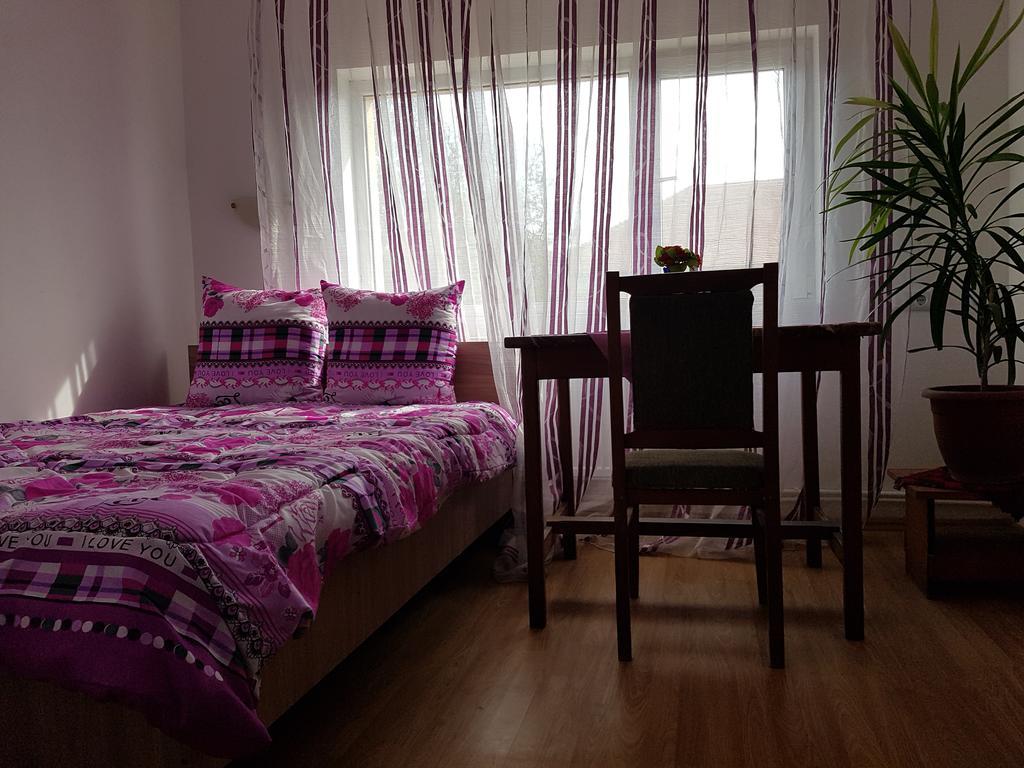 Casa Rustica Apart & Rooms Cîmpineanca 外观 照片