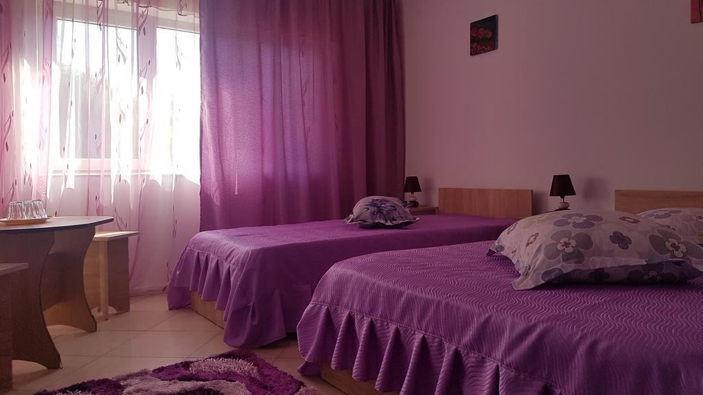 Casa Rustica Apart & Rooms Cîmpineanca 外观 照片