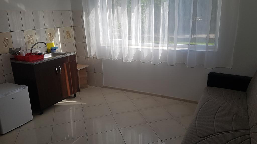 Casa Rustica Apart & Rooms Cîmpineanca 外观 照片