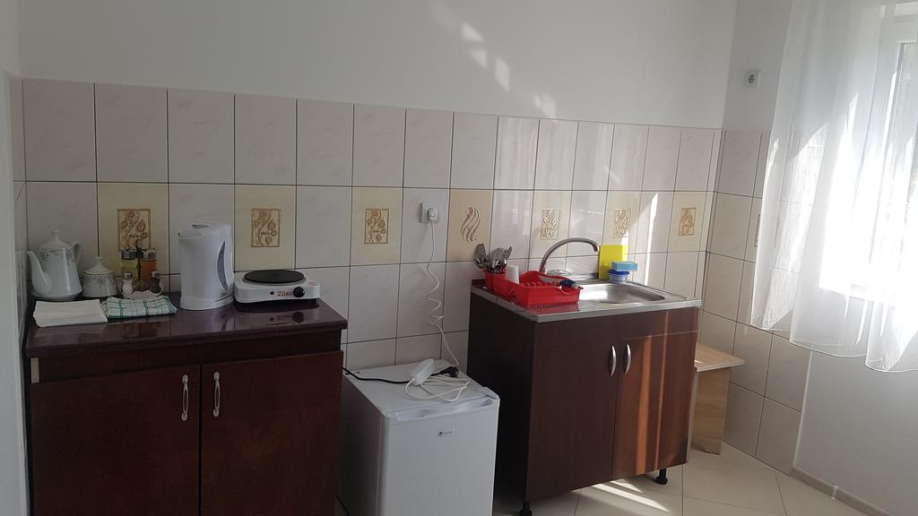 Casa Rustica Apart & Rooms Cîmpineanca 外观 照片