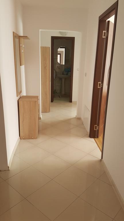 Casa Rustica Apart & Rooms Cîmpineanca 外观 照片