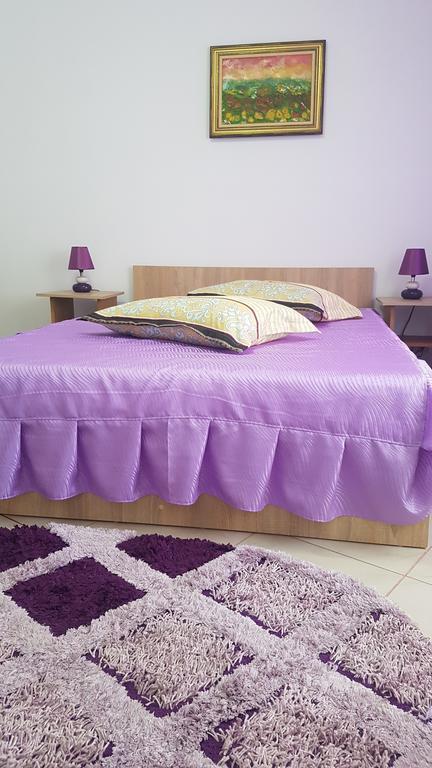 Casa Rustica Apart & Rooms Cîmpineanca 外观 照片
